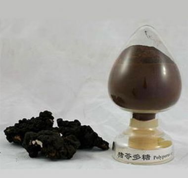 Polyporus Extract